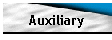 Auxiliary