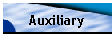 Auxiliary
