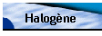 Halogne